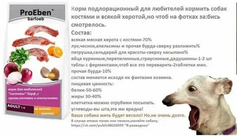 Можно собакам давать кабачки
