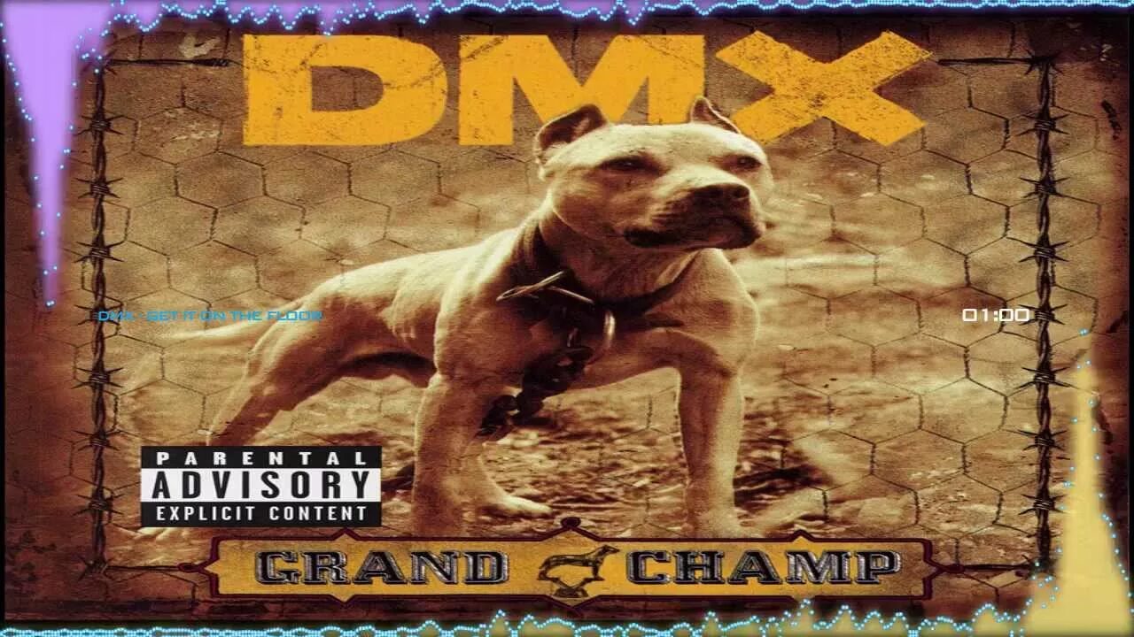 Dmx getting on the floor. DMX - 2003 - Grand Champ. DMX С собаками. DMX where the Hood. DMX альбомы.