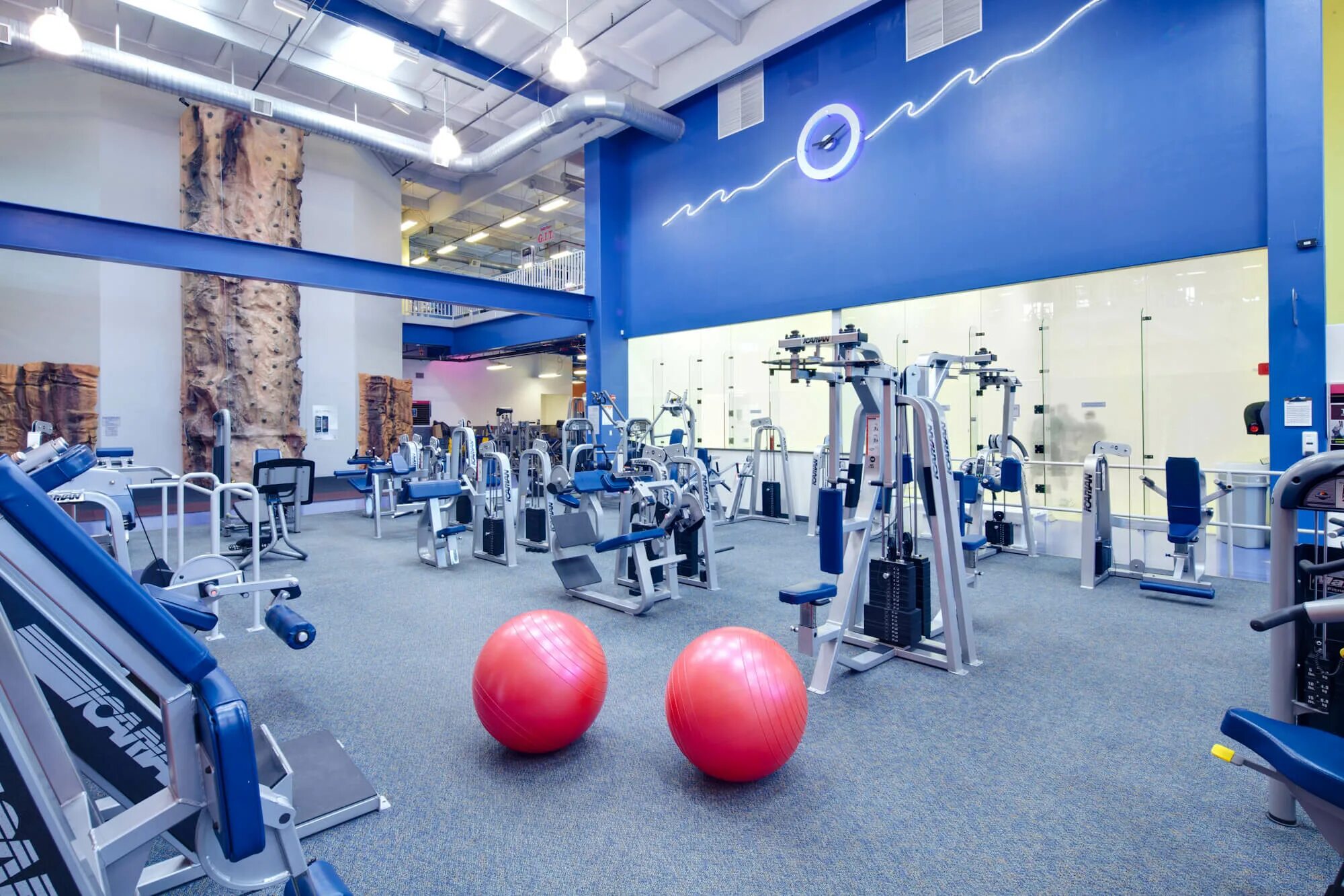 Фитнес восход. Alex fitness воронеж 45 стрелковой. алекс фитнес восход воронеж 45 стрелковой. alex fitness восход. alex fitness восход воронеж.
