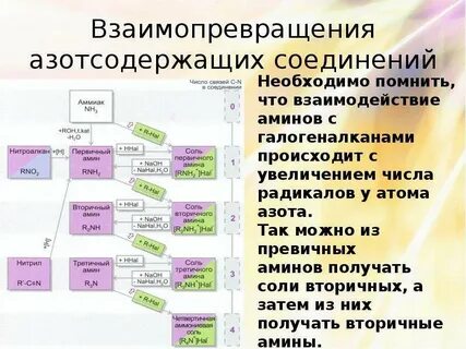 Функциональные группы азота
