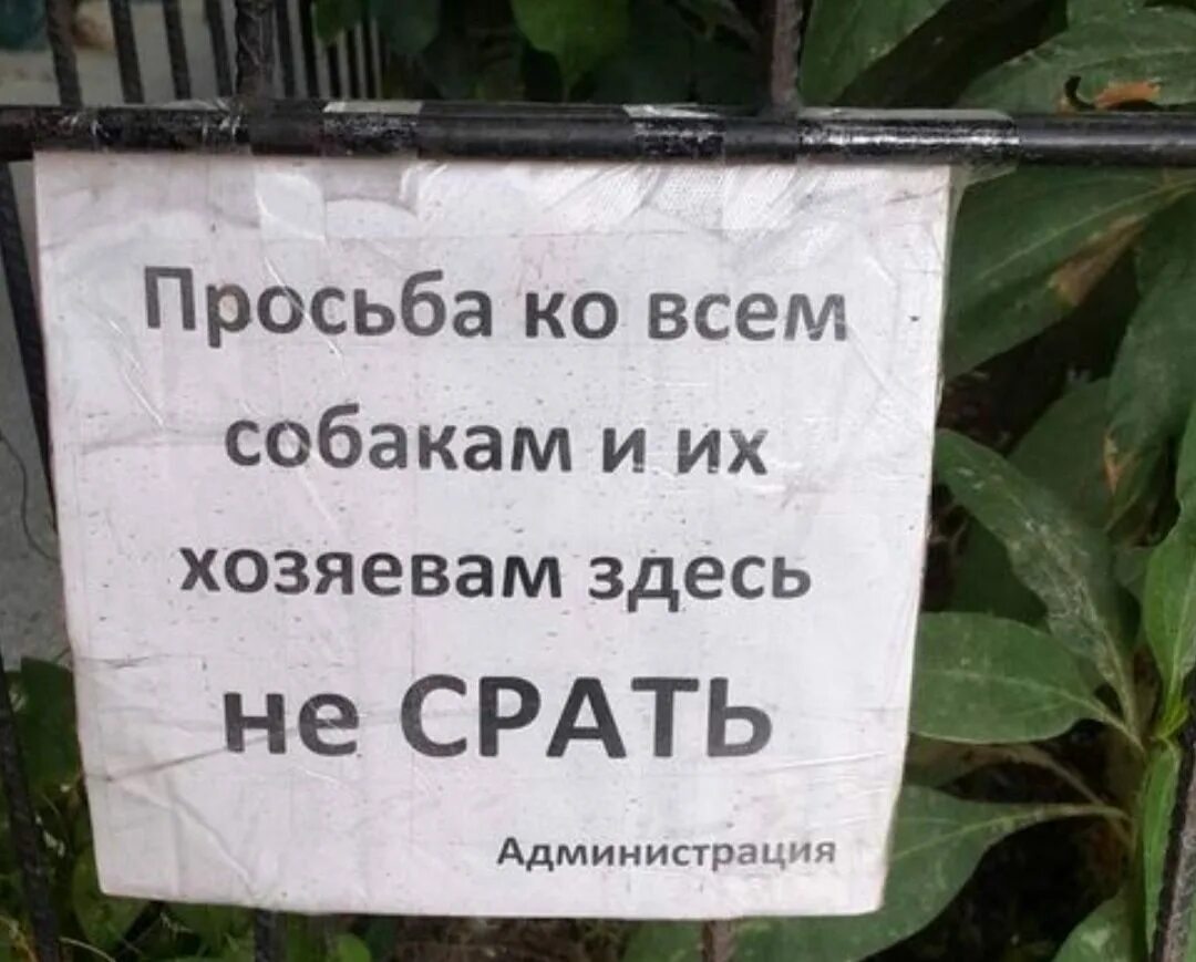 Убери какашки