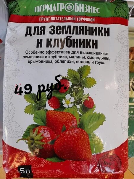 Какая почва для клубники