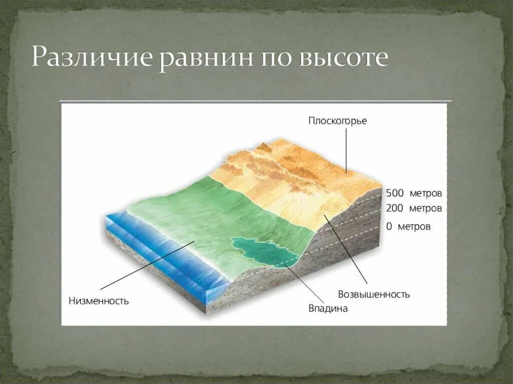 Рельеф земной поверхности 5 класс география. Строение равнины. Различие равнин по высоте. Схема равнины по высоте. Схема различие равнин по высоте.