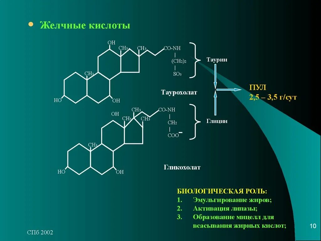 Вторичные желчные кислоты. Химическая структура желчных кислот. Формулы желчных кислот биохимия. Вторичные конъюгированные желчные кислоты. Первичные конъюгированные желчные кислоты.