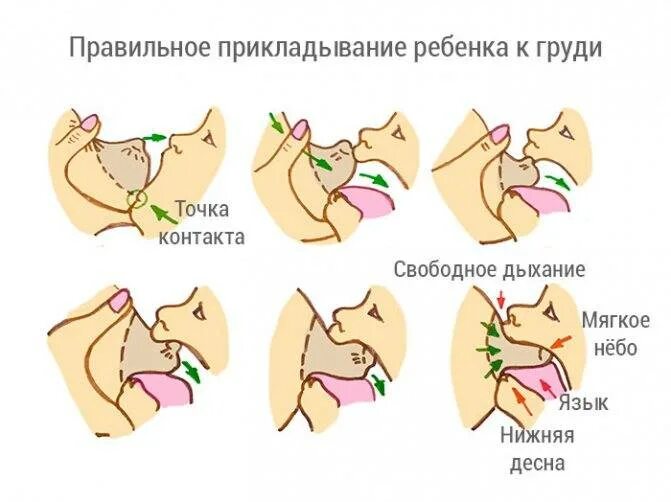 Почему новорожденный срыгивает после кормления фонтаном. Новорожденный срыгивает с кровью. Почему ребенок срыгнул с кровью после кормления. Новорожденный ребенок срыгивает после кормления. Ребёнок срыгивает после кормления.