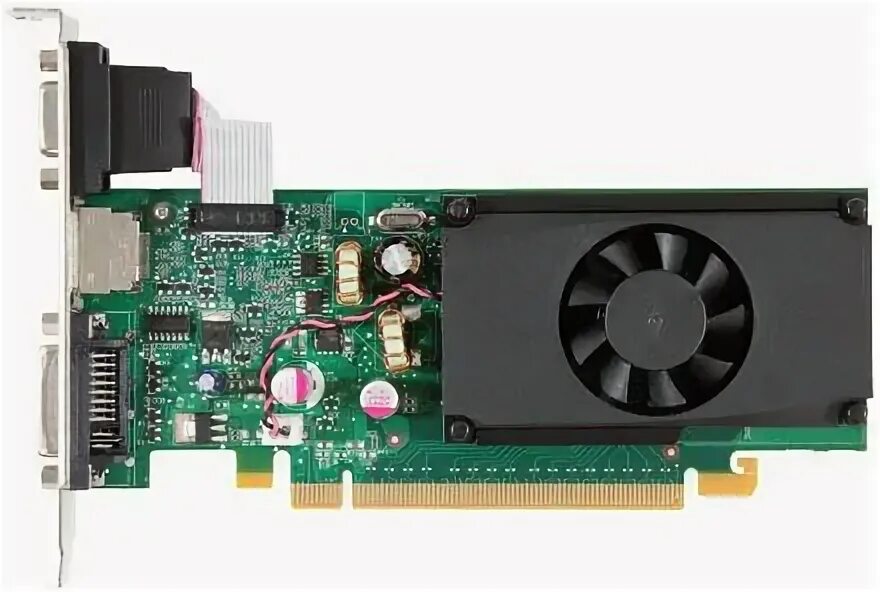 Nvidia 310. Nvidia 310