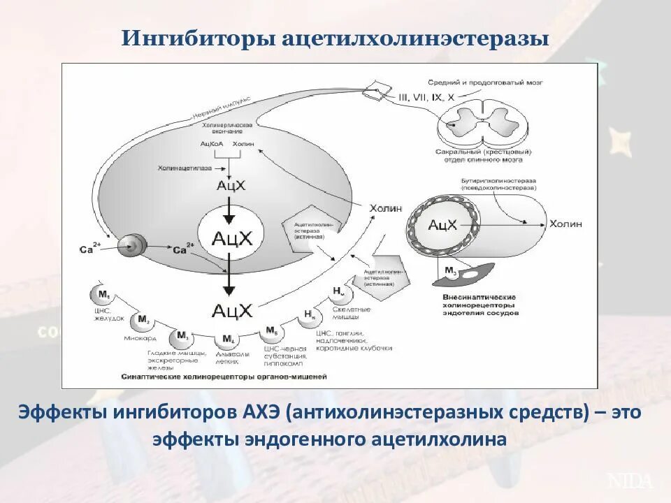 Ингибирование это
