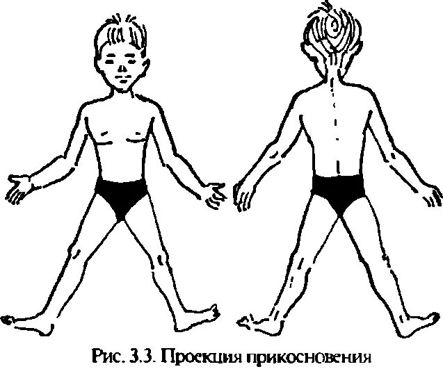 Проба тойбера. Проекция локализации прикосновения. проба тойбера в нейропсихологии. фигура тейлора нейропсихология.