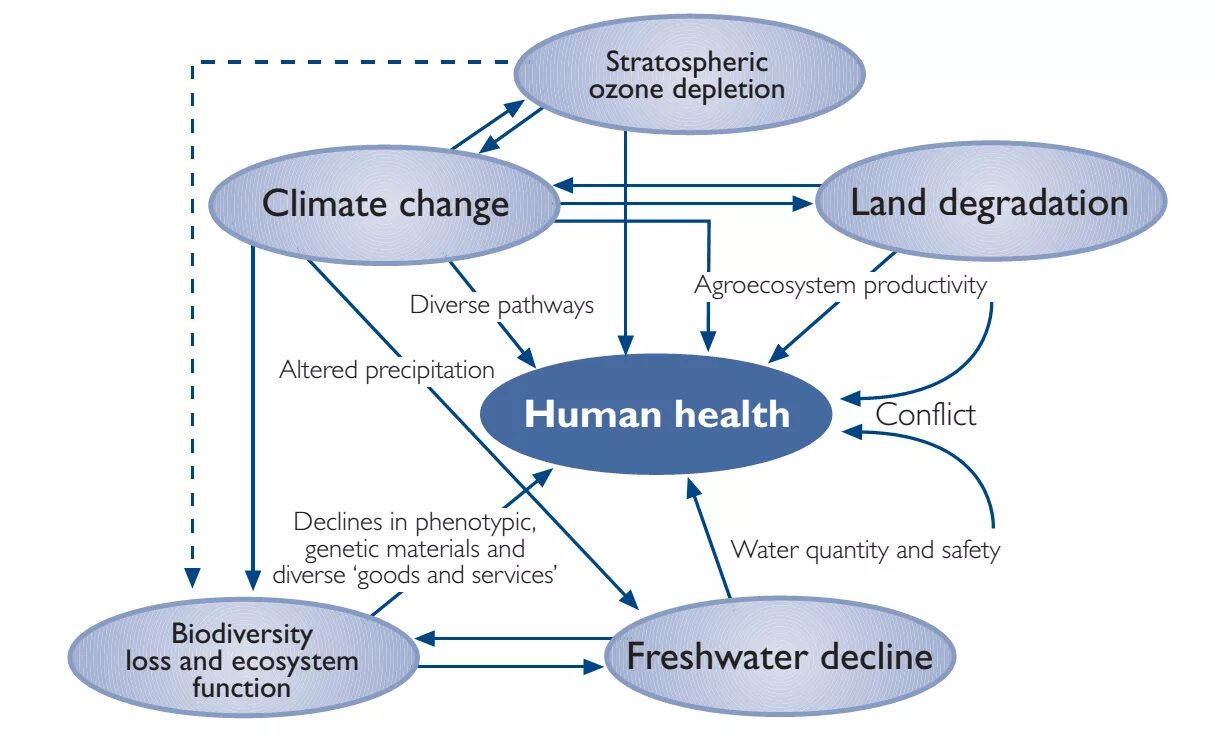 Climate change and Human's Health. Global climate change. Climate change and the environment. Global Environmental change.