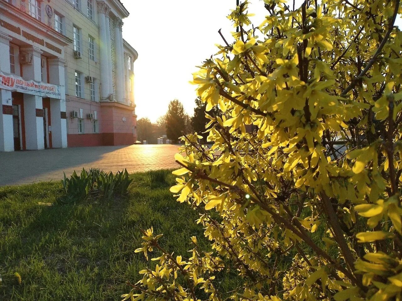 Высшие заведения курска. Престижный университет в курске. кгму лучший в россии. фото утреннего курска. курская 2 тюмень фото.
