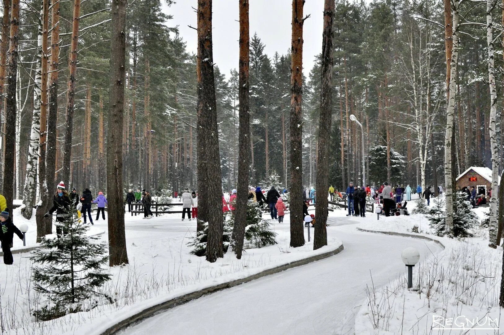 Охтинский парк. Лесной каток в Охта парке. Охта-парк Санкт-Петербург каток. Лесной каток в Охта парке СПБ. Каток СПБ Охта парк.