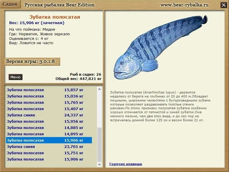 Зубатка отзывы. Зубатка отзывы. Зубатка синяя. Зубатка отзывы. Зубатка отзывы.