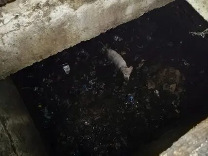 Провалиться в яму