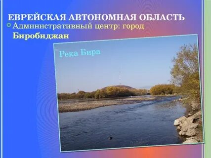 Погода бира еао 10 дней