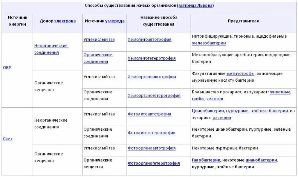 Матрица Львова типы питания бактерий. Типы питания бактерий таблица. Бактерии классификация таблица. Группы бактерий по типу питания.