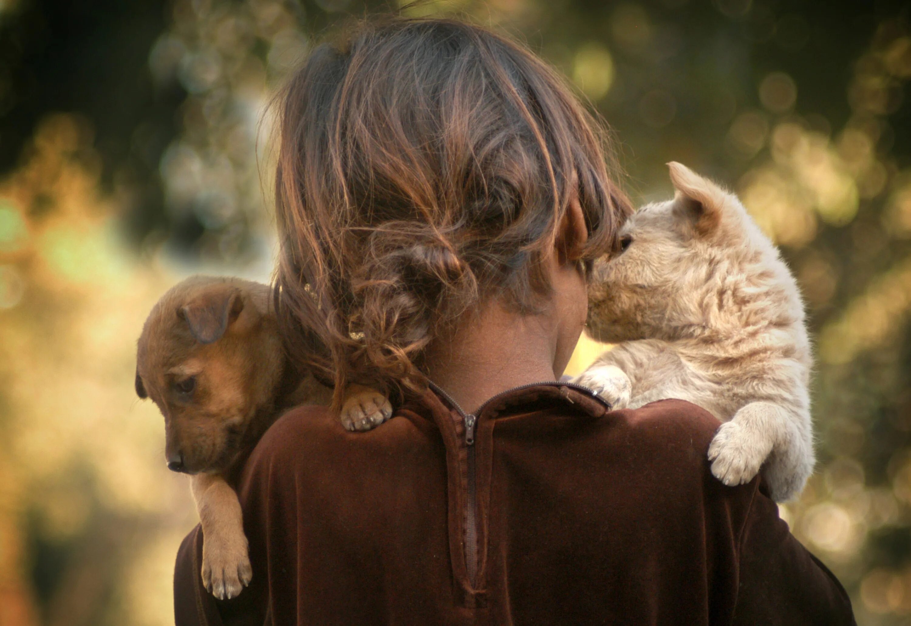 Любовь к животным. Объятия животных. Доброта животных. Любовь детей к животным. Переродилась и теперь все животные любят тебя