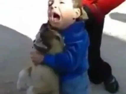 Видео жестокости