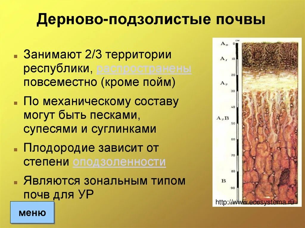 Подзолистая почва описание. Распространение дерново-подзолистых почв. Гумусовый Горизонт подзолистых почв. Почвенный профиль дерново-подзолистых почв. Дерново-подзолистые почвы схема.