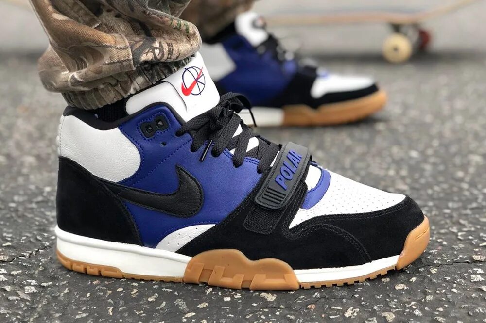 Nike x Polar Skate co. Nike Air Trainer 1 SB. Nike Trainer 1 Polar. Nike SB Air Skate. Кроссовки nike air trainer