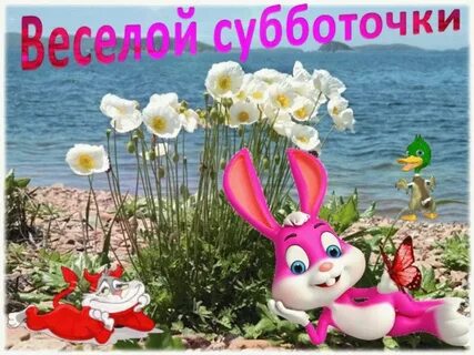 Гифки с субботним днем