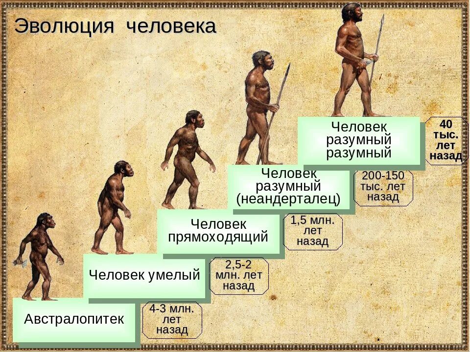 Как называется древняя история