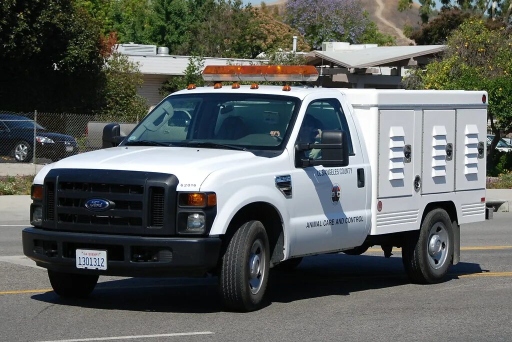 Форд Каунти. Энималс Контролс. California animal Control. Ford Control внешний вид.