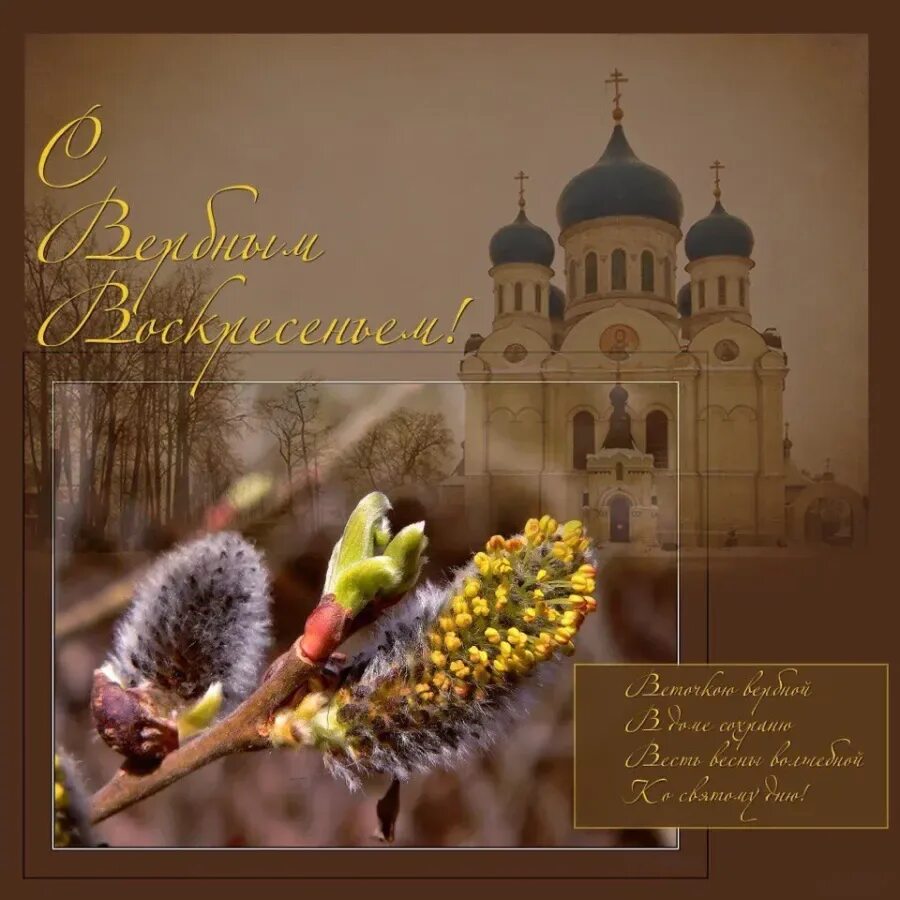 Вербное вс. С вербным воскресеньем. вербное воскресенье пожелания. с вербным воскресеньем открытки. поздравить с вербным воскресеньем.