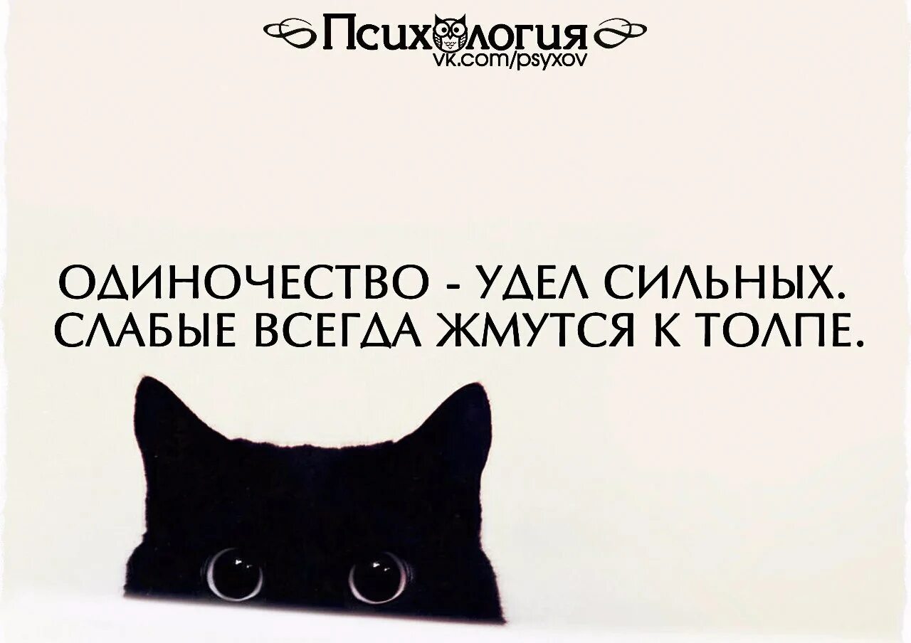 Того чтобы его хватило для