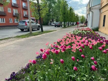 Цветы великие луки