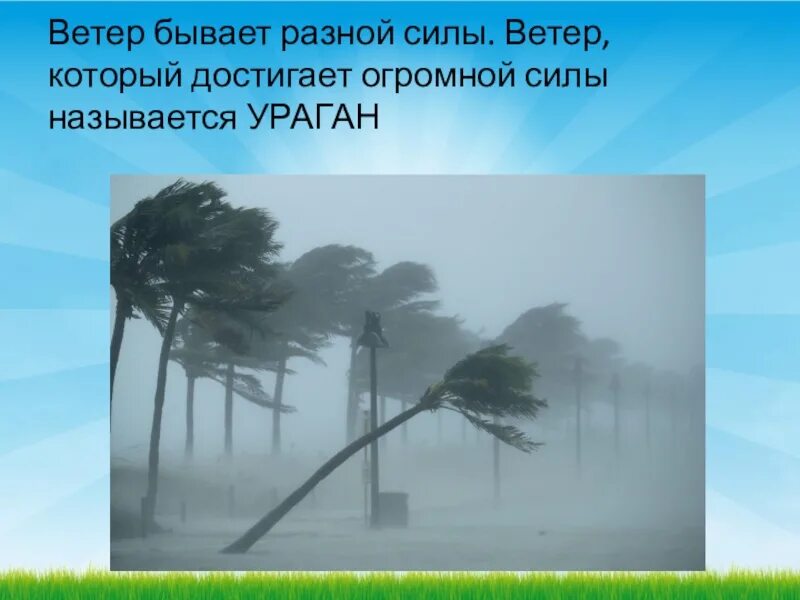 Ветер бывает. Сила ветра картинки. Ветер разной силы по картинкам. Сообщение о ветре.