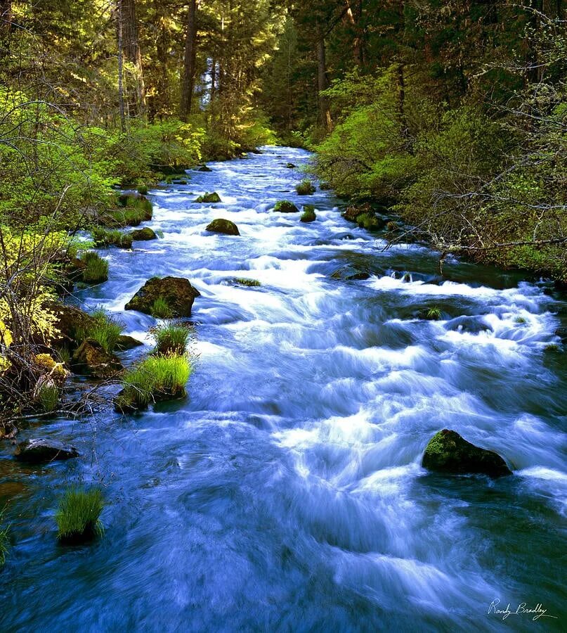 Шум воды ручья. Ручей Еонси. Река ручей. Красивый ручей. Красивый Ручеек.