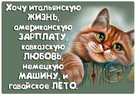 Позитивные статусы для ватсапа