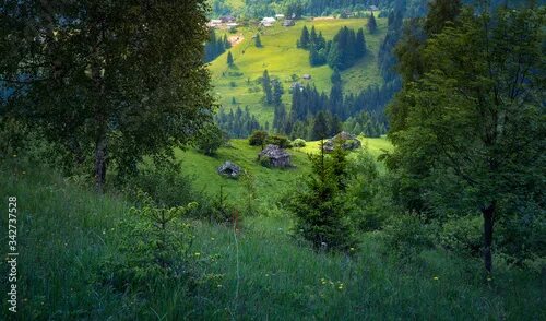 Пейзажи пушкинские горы. Carpathian countryside. Carpathian countryside. Закарпатье фото природа. Carpathian countryside.