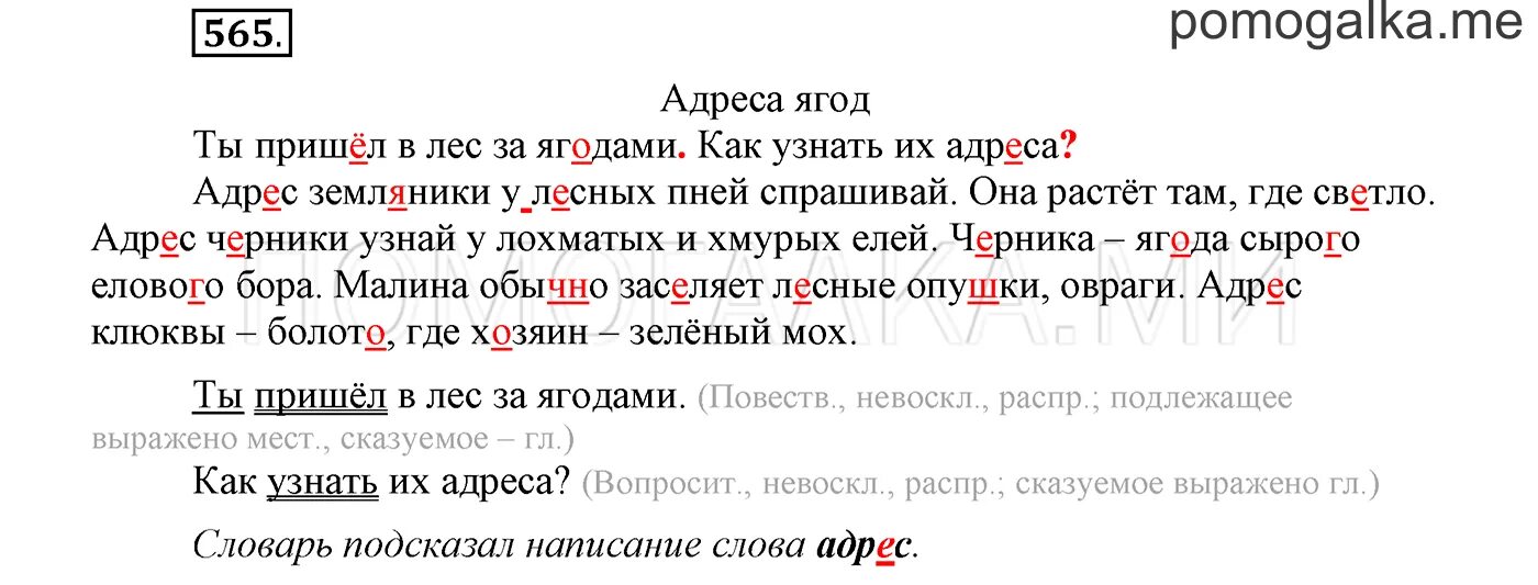 Русский язык тебя приходи. 3 Класс русский язык упражнение 565. Адрес земляники у лесных пней. Ты пришёл в лес за ягодами. Русский язык 2 часть 565 упражнение.