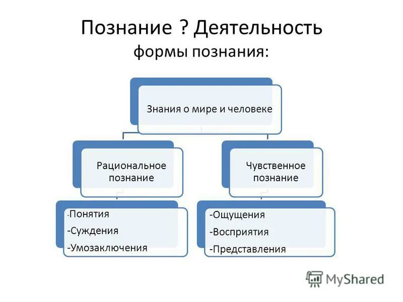 Познание и деятельность. Активность познания. Суждение вид познания. Формы знаний о мире.