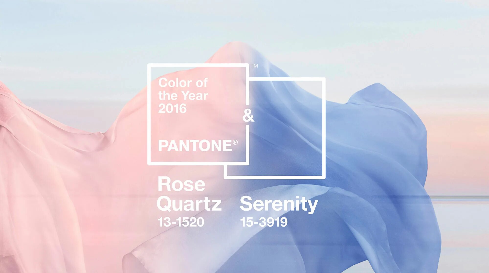 Pantone rose. Пантон 13-1520. цвет пантон 2016. цвет года 2016. цвет 2016 года по версии pantone.