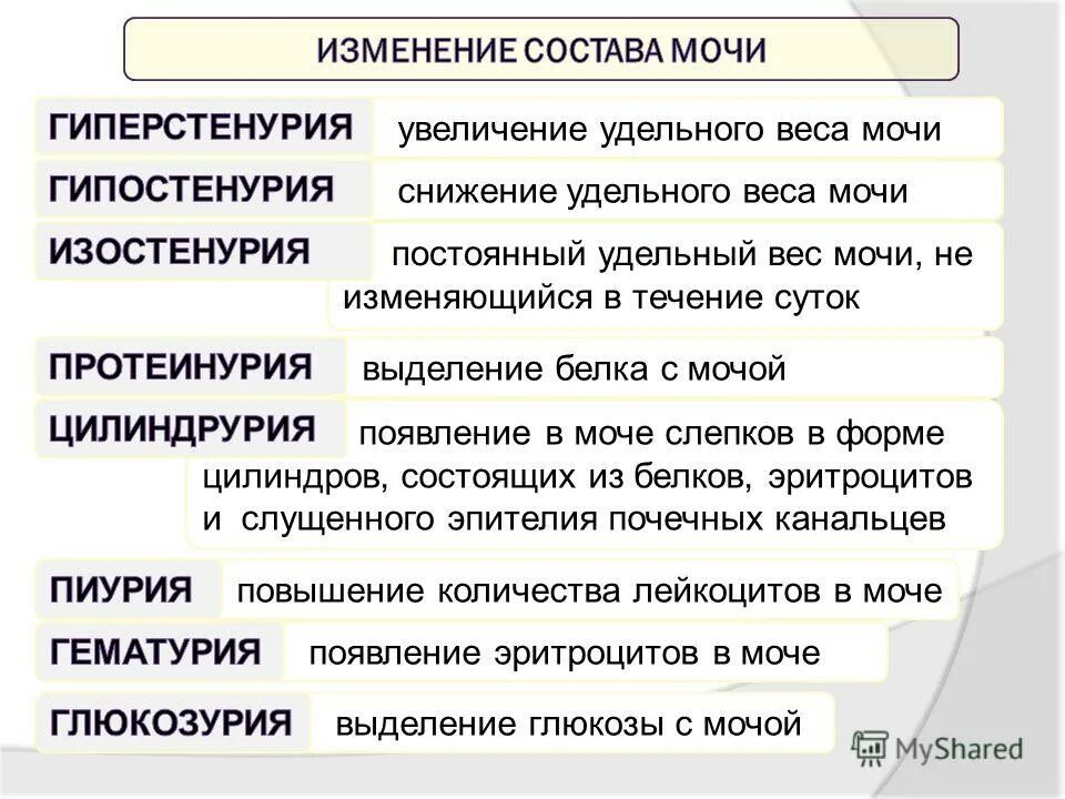 Выделение белков с мочой