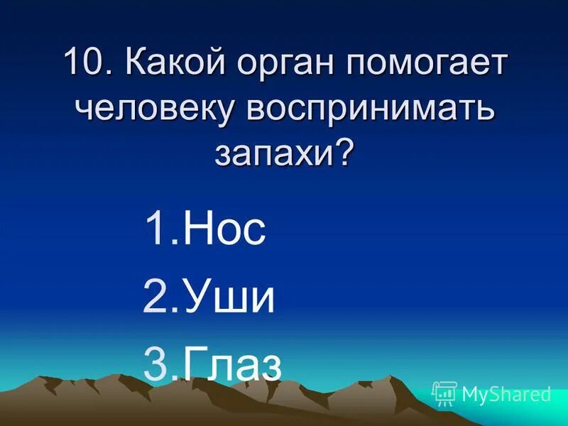 В какой момент человек воспринимает запахи