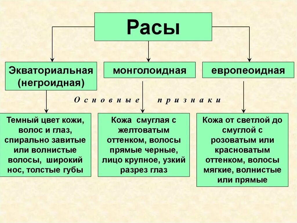 Человеческие расы 6 класс. Схема расы человека. Классификация человеческих рас. Человеческие расы схема. Расы человека кратко.