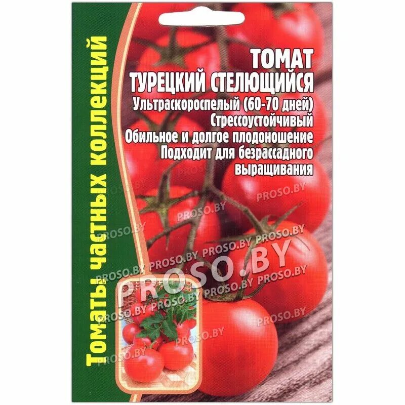 Томаты стелющиеся описание сорта. Семена помидор стелющиеся. сорт томатов турецкий стелющийся. семена томат турецкий стелющийся. томат корейский стелющийся.