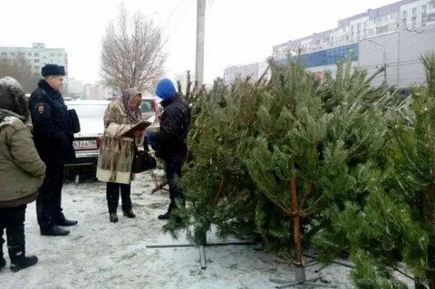 Елочный базар пенза