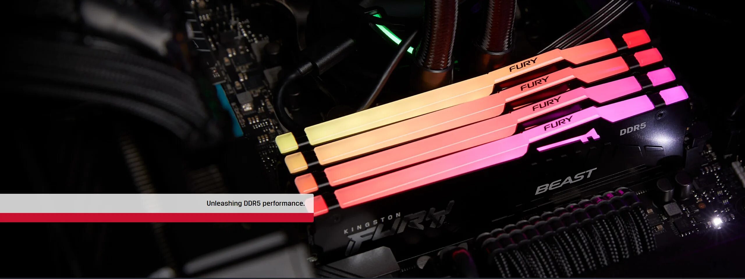 Kingston Fury Beast ddr4 RGB. Kingston Fury Beast ddr5 RGB. Оперативная память Beast Kingston Fury ddr5 RGB. Оперативная память Kingston Fury Beast Black RGB. Kingston ddr5 64gb