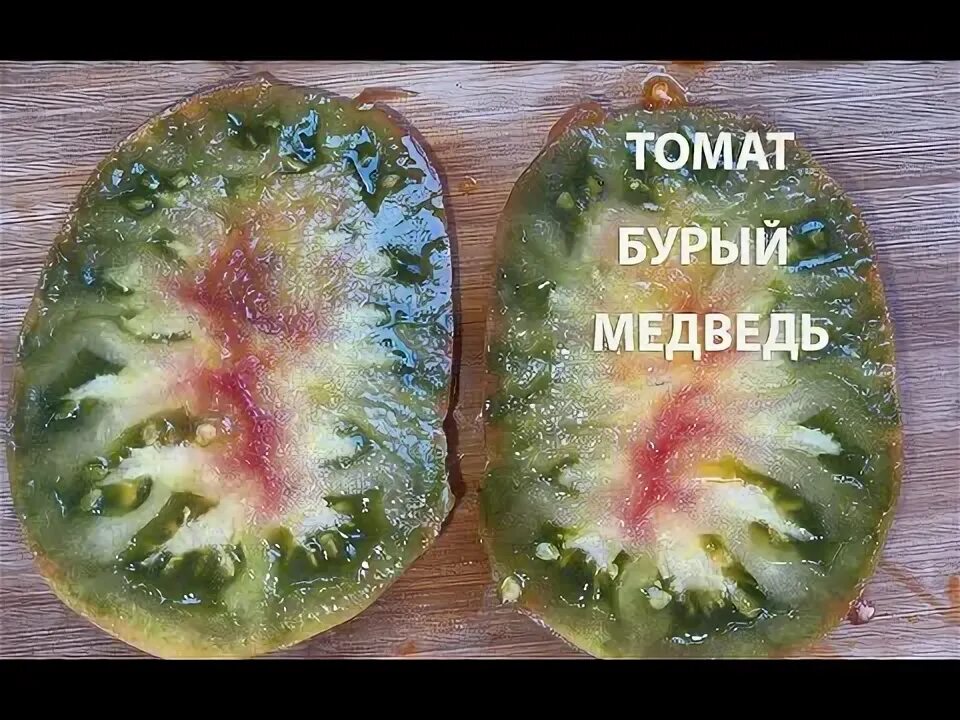 Семена Томат Бурый медведь ®: описание сорта, фото - купить с доставкой или почт