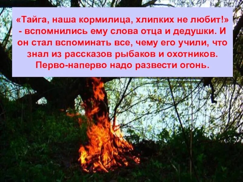 Слова деда и отца которые васютка вспомнил. Сочинение Тайга наша кормилица хлипких не любит. Тайга наша кормилица хлипких не любит Васюткино озеро. Сочинение на тему Тайга наша кормилица хлипких не любит. Тайга хлипких не любит план сочинения.