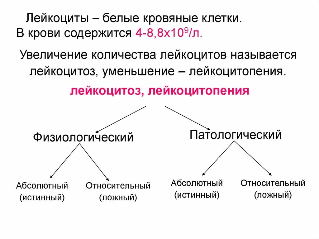 Ложный лейкоцитоз. Лейкоциты физиология крови. Абсолютный и относительный лейкоцитоз. Истинный лейкоцитоз. Абсолютный лейкоцитоз