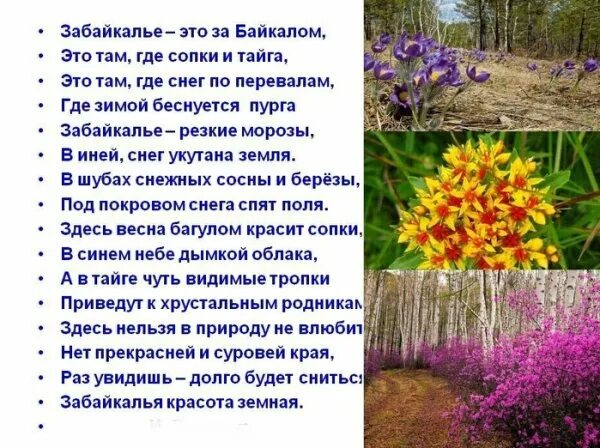 стихи забайкальских поэтов