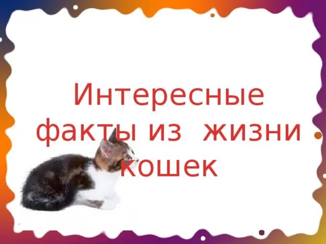 Жизнь кошечек