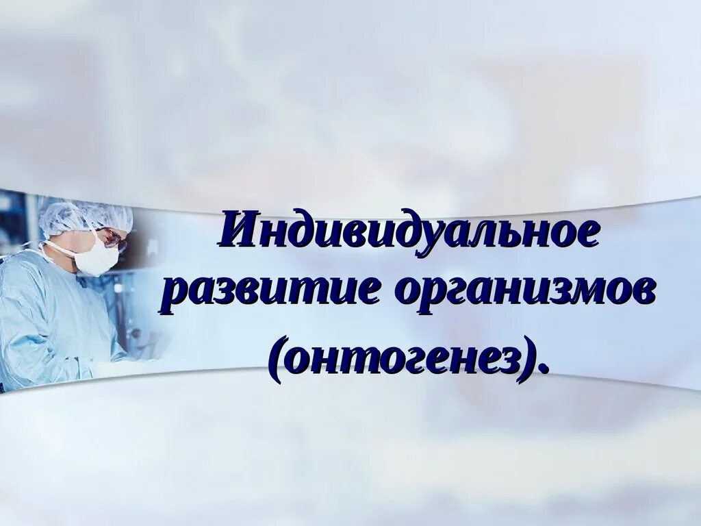 Процесс индивидуального развития особи. Индивидуальное развитие организмов онтогенез 9 класс презентация. Схема индивидуального развития организма. Индивидуальное развитие организмов онтогенез 9 класс презентация. Индивидуально развитие.