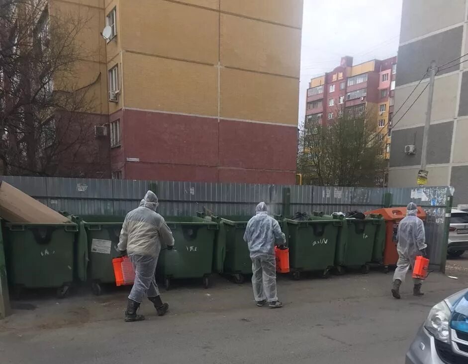 Мусорный человек. Очень много котят. Вчера в кучу. Вчера в кучу. Много пакетов с едой.