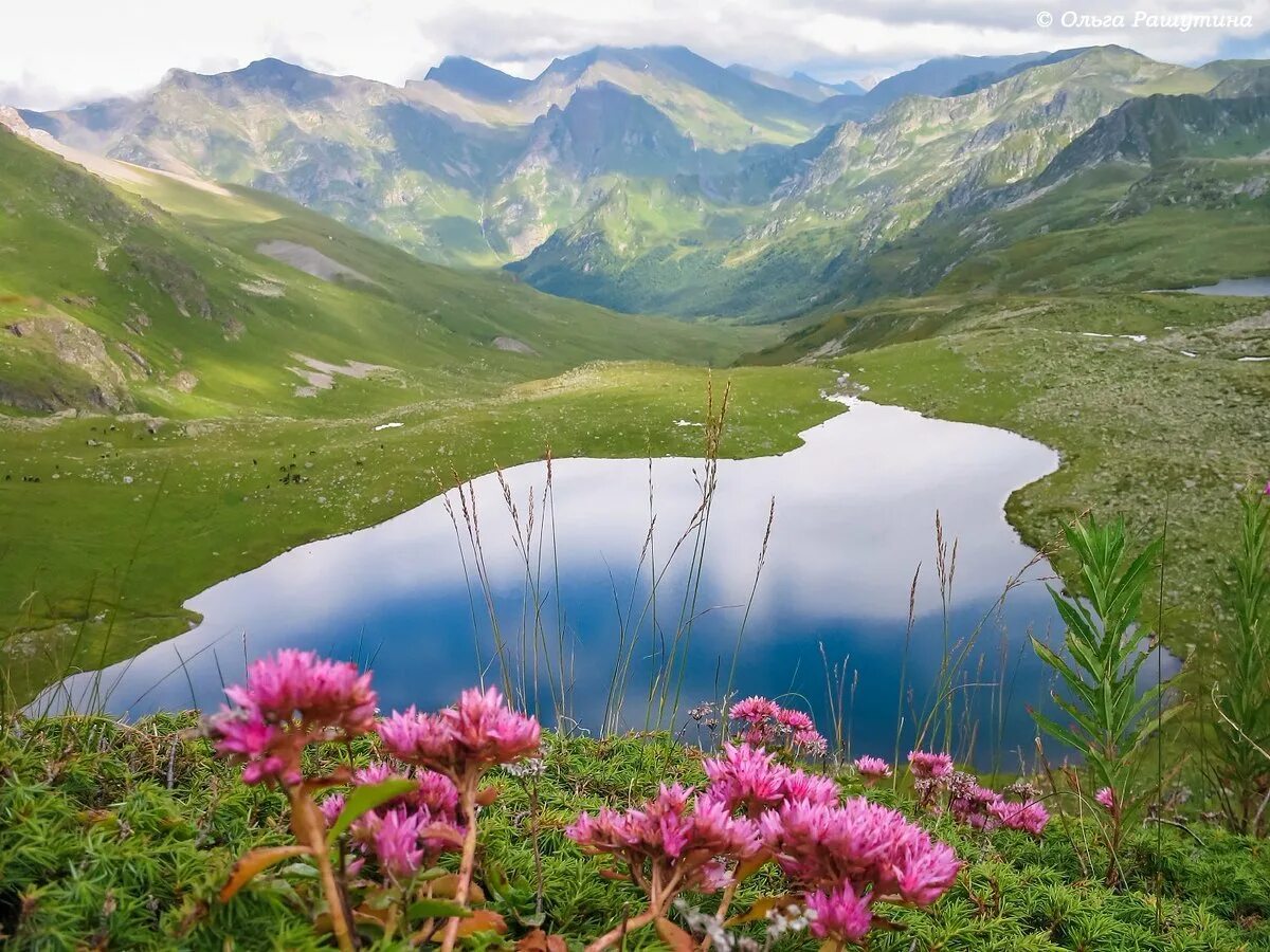 архыз карачаево-черкесская республика. карачаево-черкесская республика горы. тебердинский заповедник архыз. карачаево-черкесская республика кавказ. карачаево-черкесская республика горы.